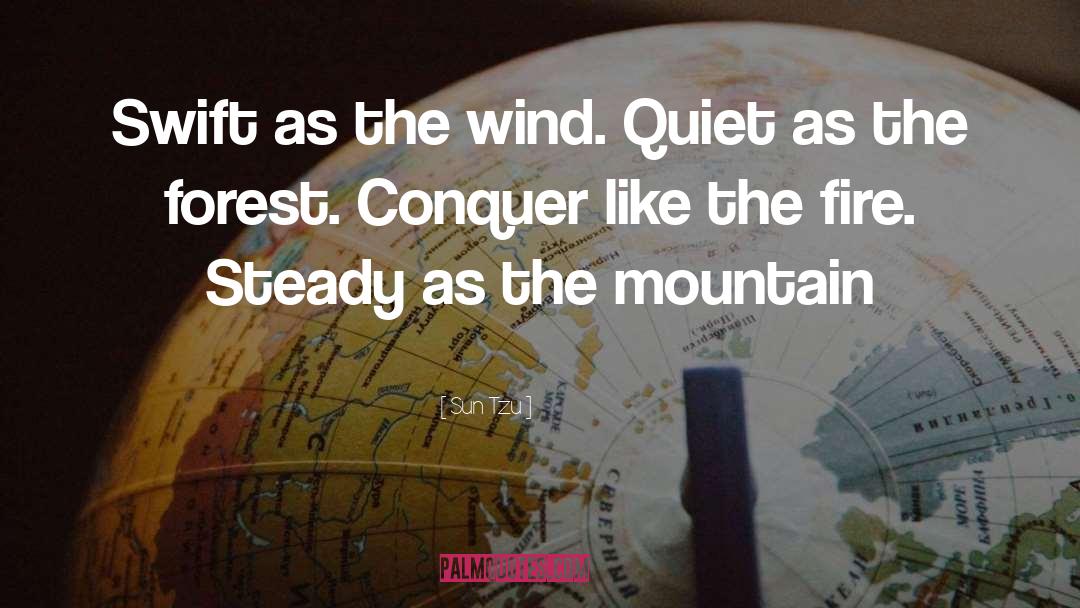 Sun Tzu Quotes: Swift as the wind. Quiet