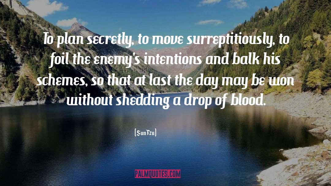 Sun Tzu Quotes: To plan secretly, to move