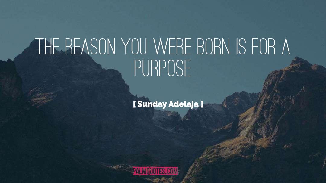 Sunday Adelaja Quotes: The reason you were born