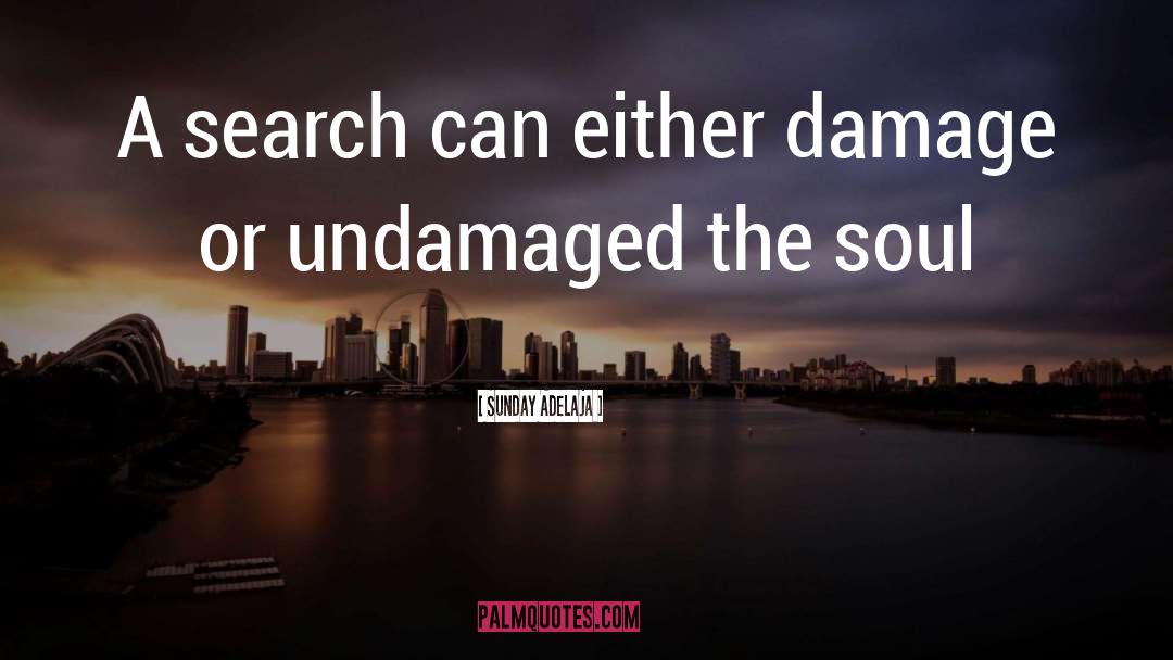 Sunday Adelaja Quotes: A search can either damage