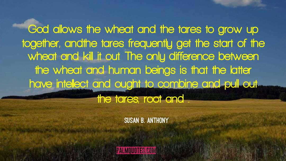 Susan B. Anthony Quotes: God allows the wheat and
