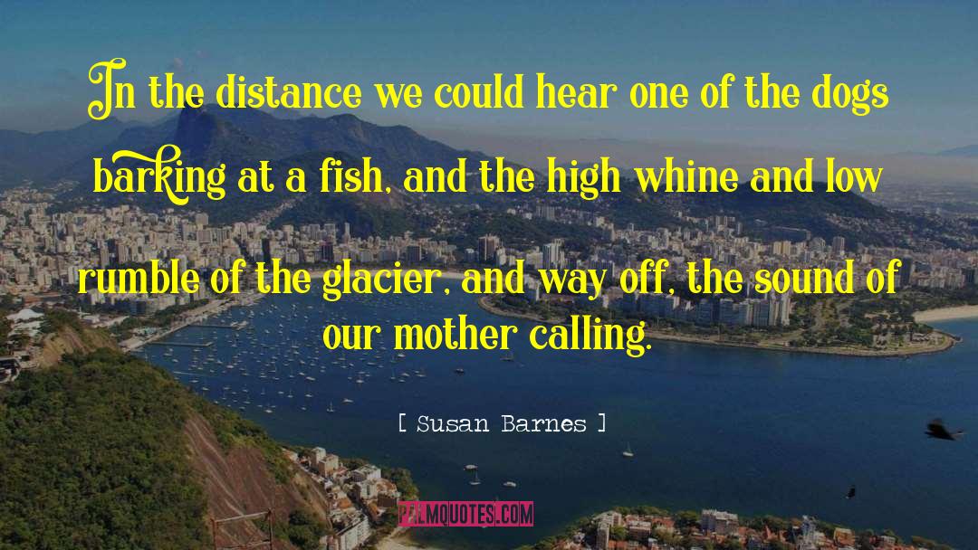 Susan Barnes Quotes: In the distance we could