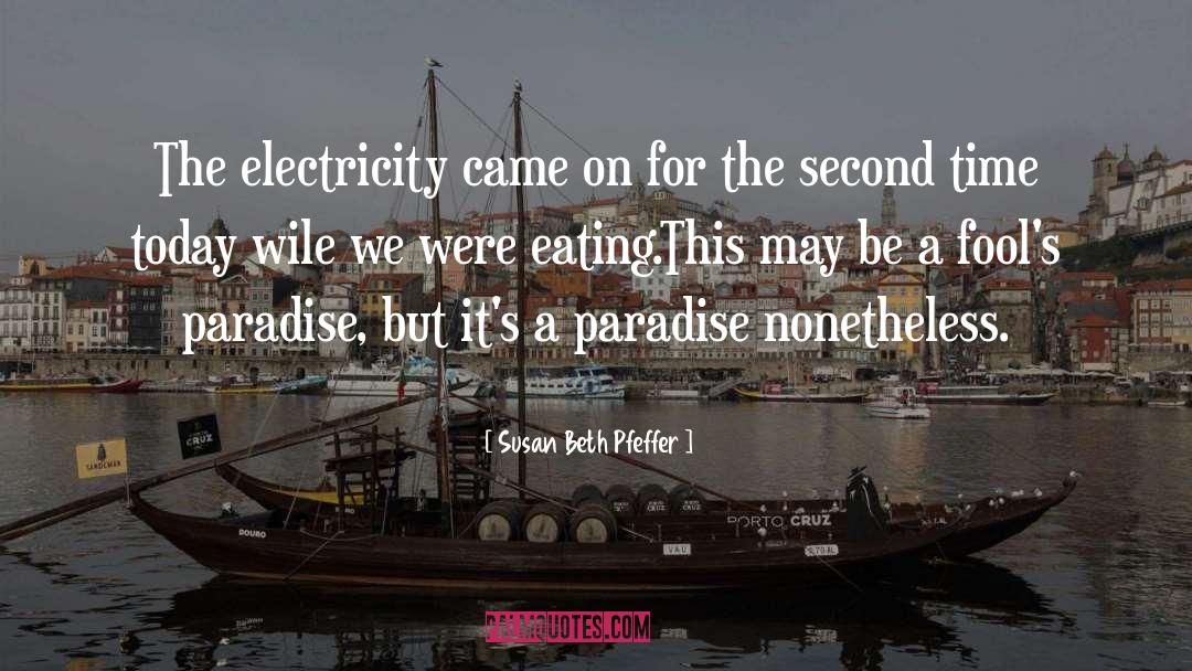 Susan Beth Pfeffer Quotes: The electricity came on for