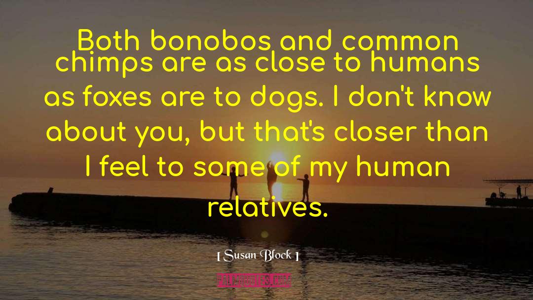 Susan Block Quotes: Both bonobos and common chimps