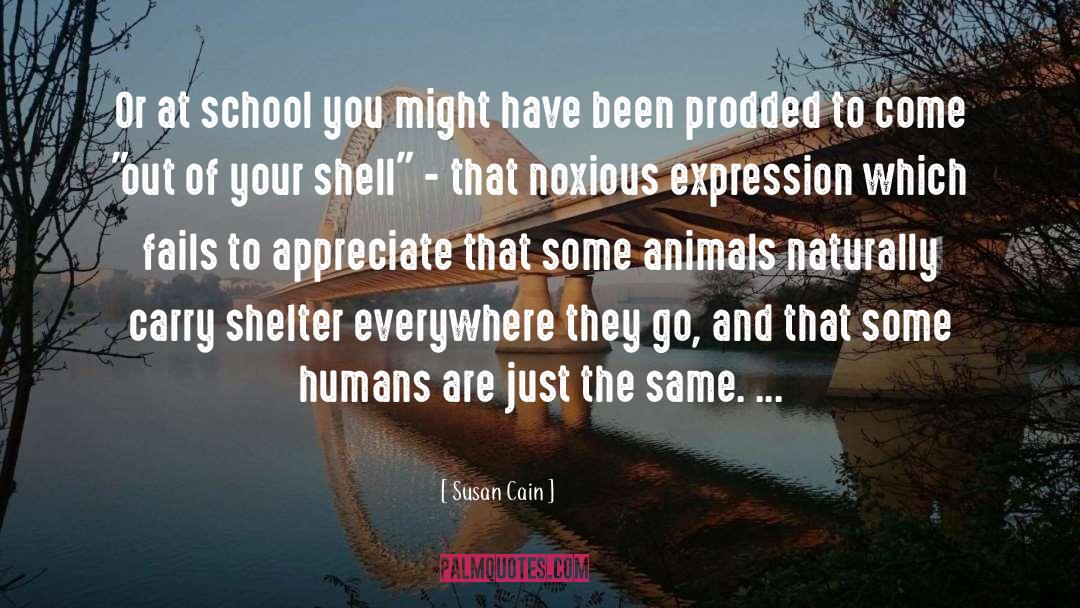 Susan Cain Quotes: Or at school you might