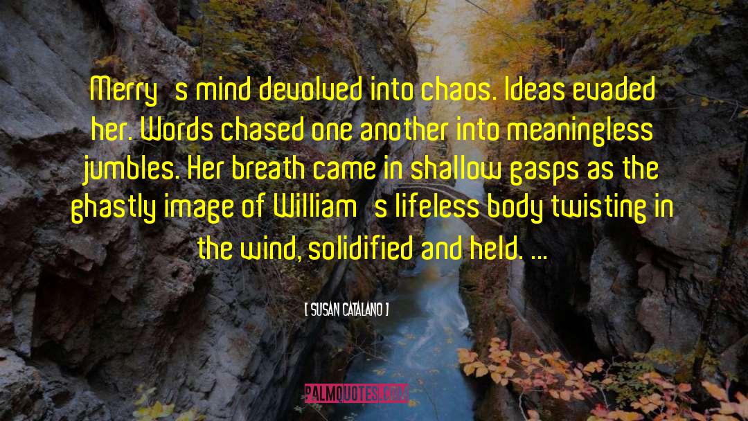 Susan Catalano Quotes: Merry's mind devolved into chaos.