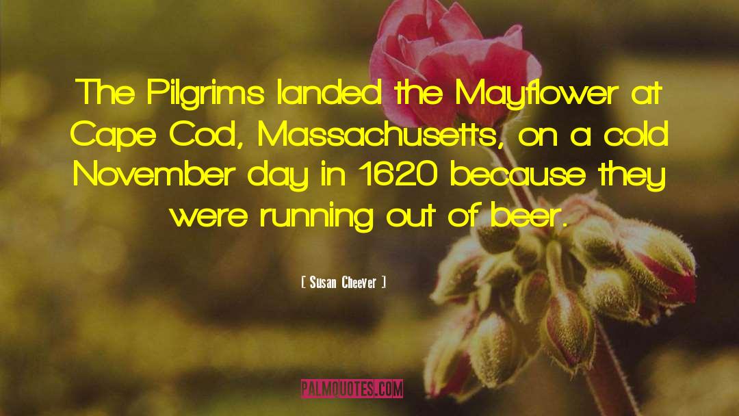 Susan Cheever Quotes: The Pilgrims landed the Mayflower