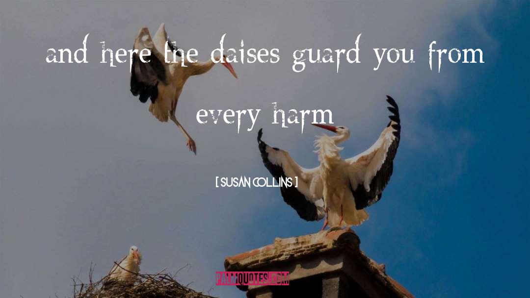 Susan Collins Quotes: and here the daises guard