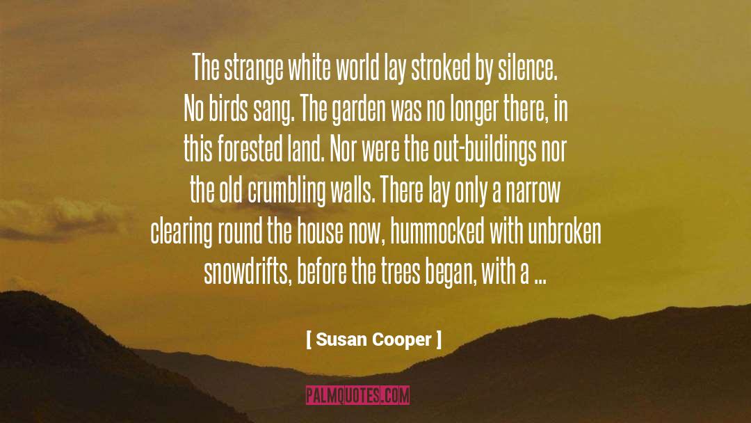 Susan Cooper Quotes: The strange white world lay