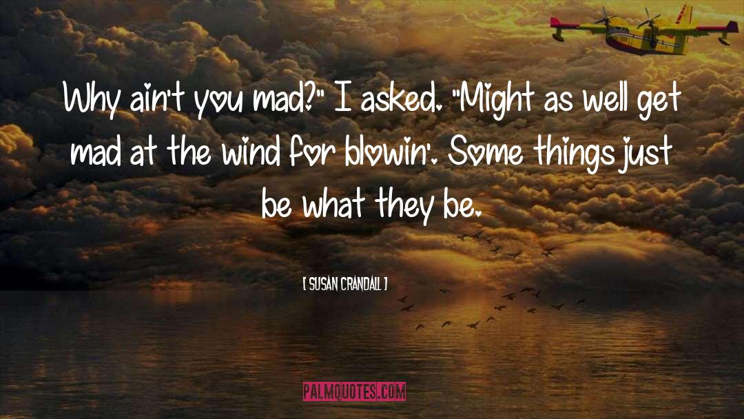 Susan Crandall Quotes: Why ain't you mad?