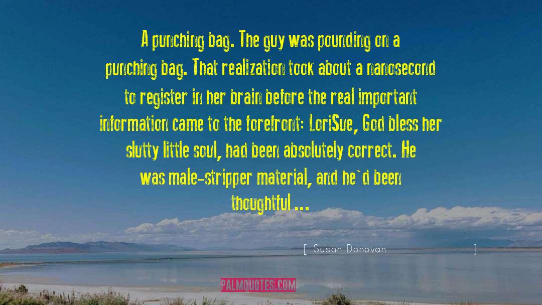 Susan Donovan Quotes: A punching bag. The guy