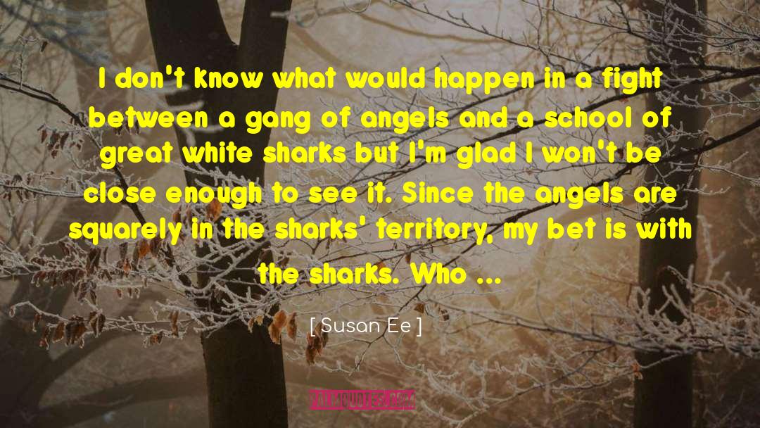 Susan Ee Quotes: I don't know what would