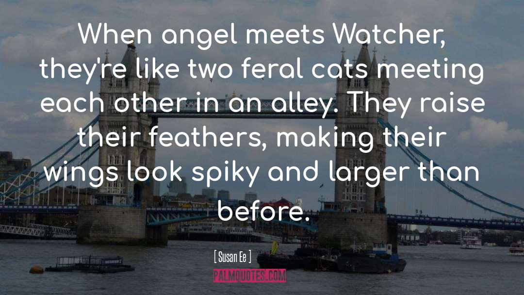 Susan Ee Quotes: When angel meets Watcher, they're