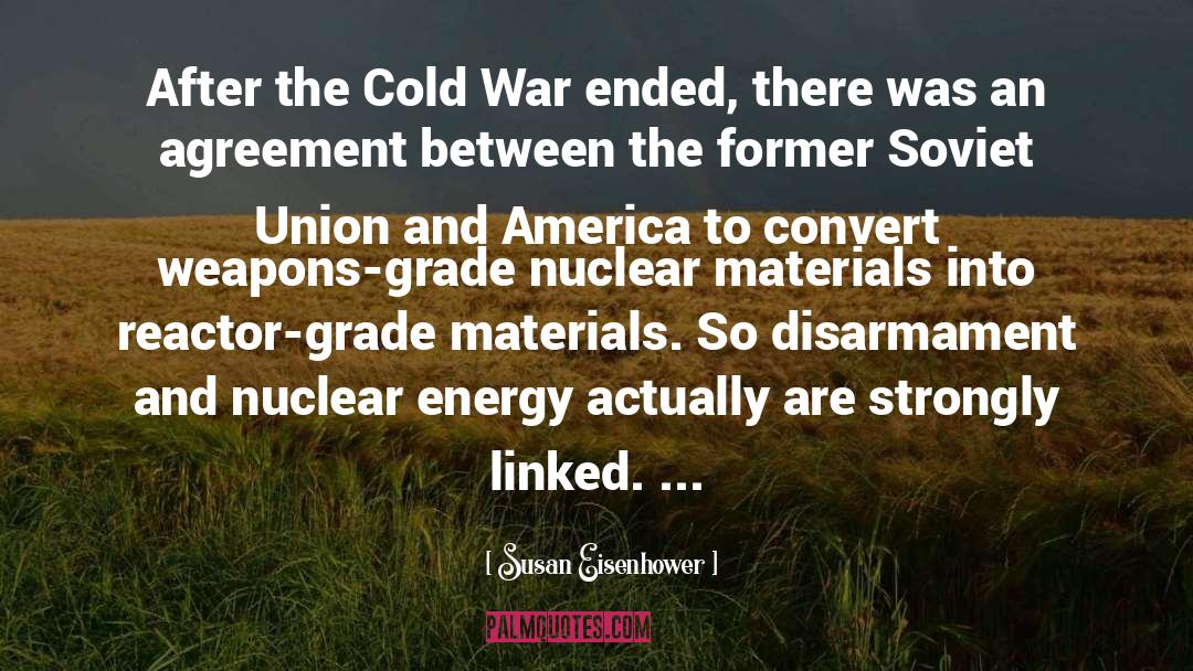 Susan Eisenhower Quotes: After the Cold War ended,