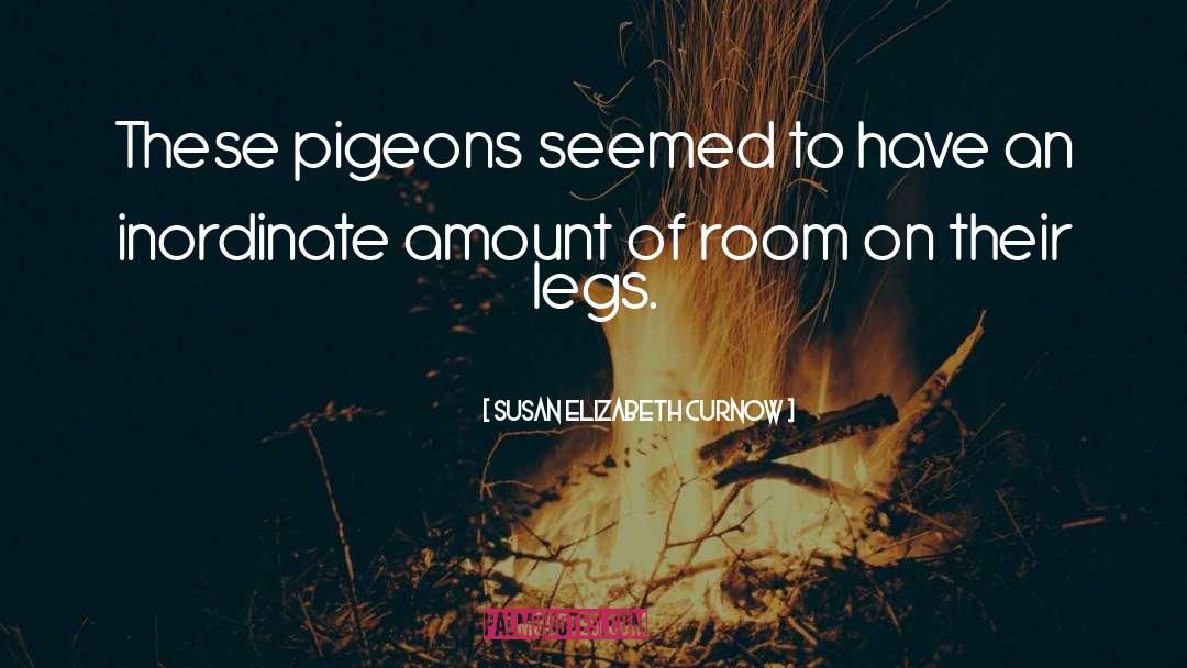 Susan Elizabeth Curnow Quotes: These pigeons seemed to have