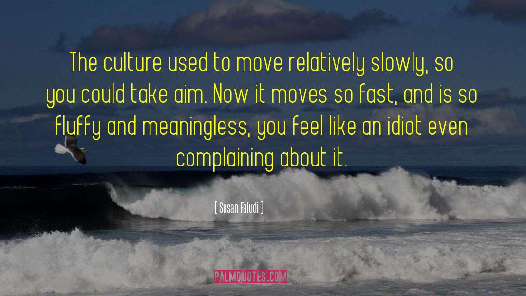 Susan Faludi Quotes: The culture used to move