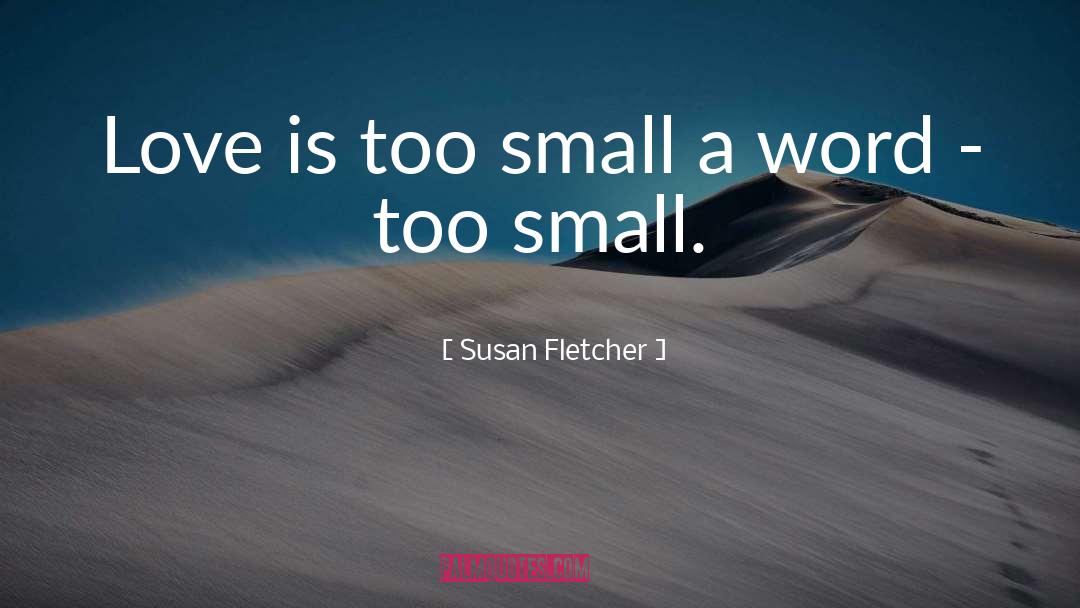Susan Fletcher Quotes: Love is too small a