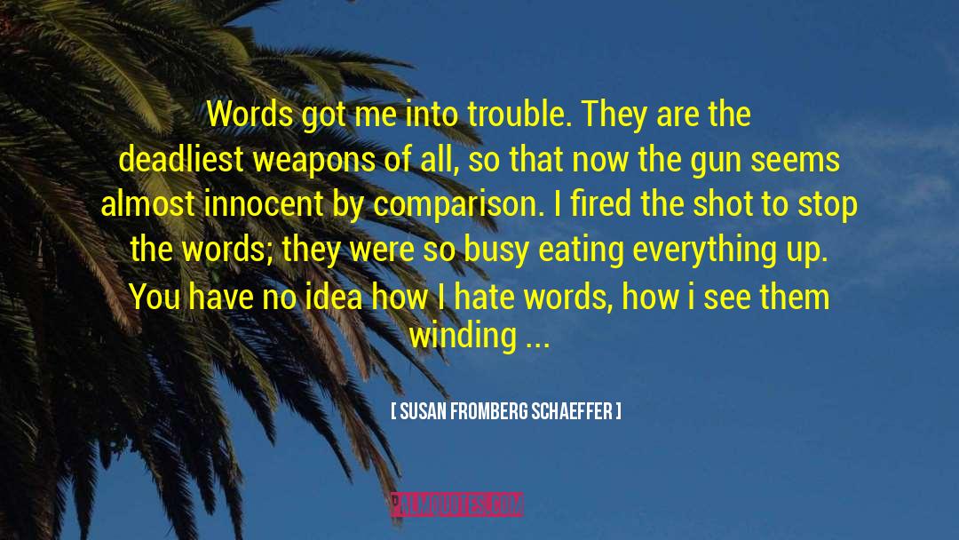 Susan Fromberg Schaeffer Quotes: Words got me into trouble.