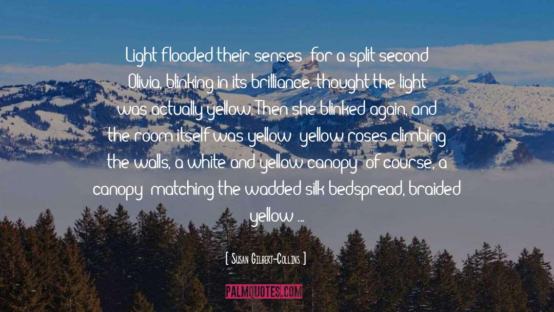 Susan Gilbert-Collins Quotes: Light flooded their senses; for