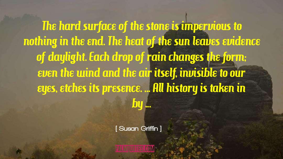 Susan Griffin Quotes: The hard surface of the