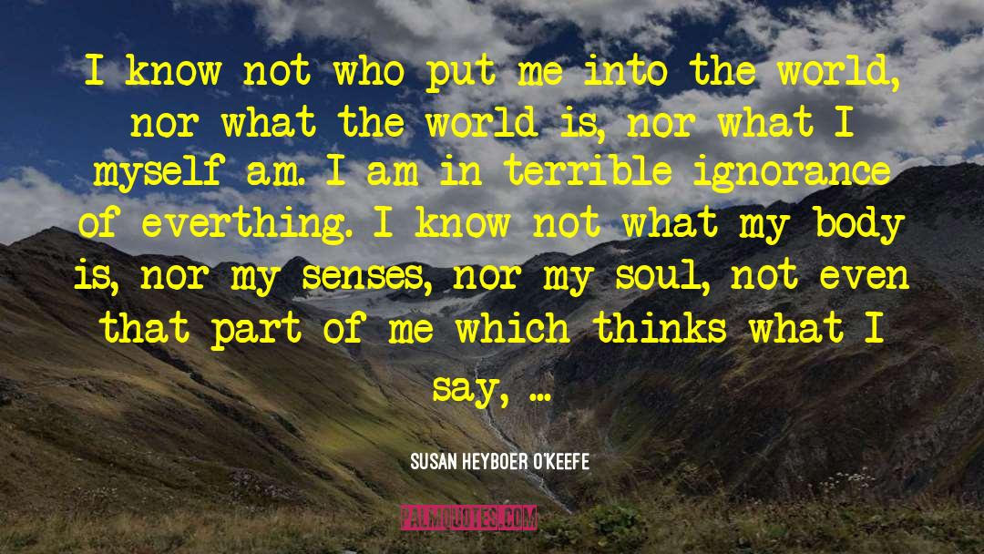 Susan Heyboer O'Keefe Quotes: I know not who put