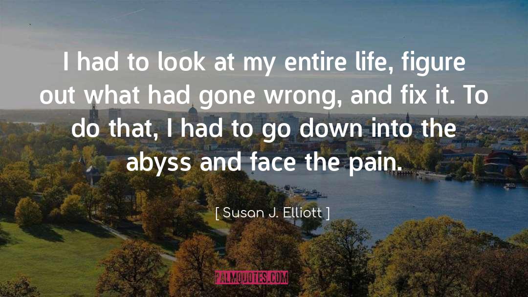 Susan J. Elliott Quotes: I had to look at