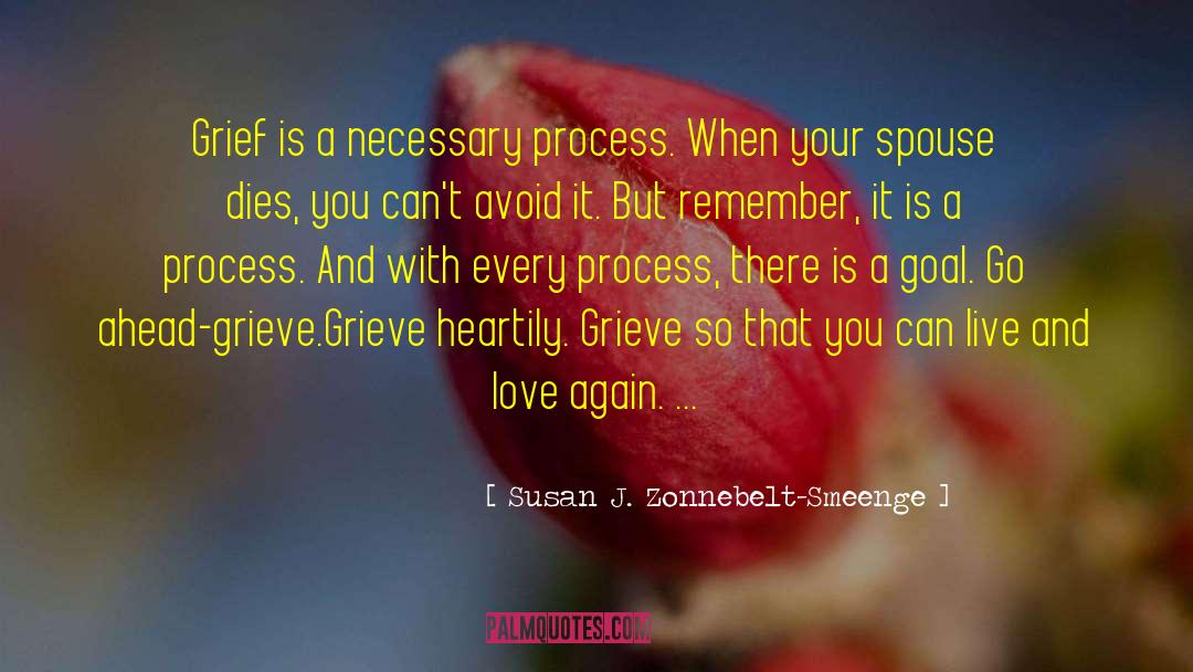 Susan J. Zonnebelt-Smeenge Quotes: Grief is a necessary process.