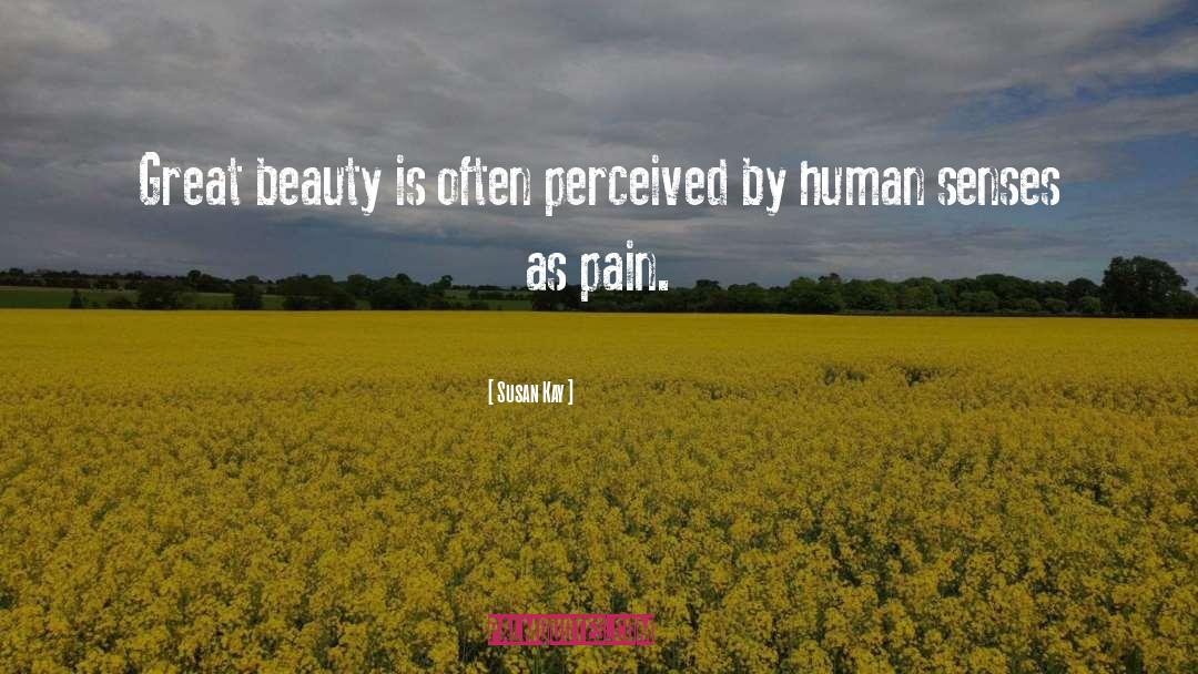 Susan Kay Quotes: Great beauty is often perceived