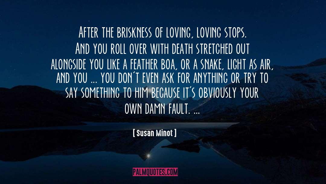 Susan Minot Quotes: After the briskness of loving,