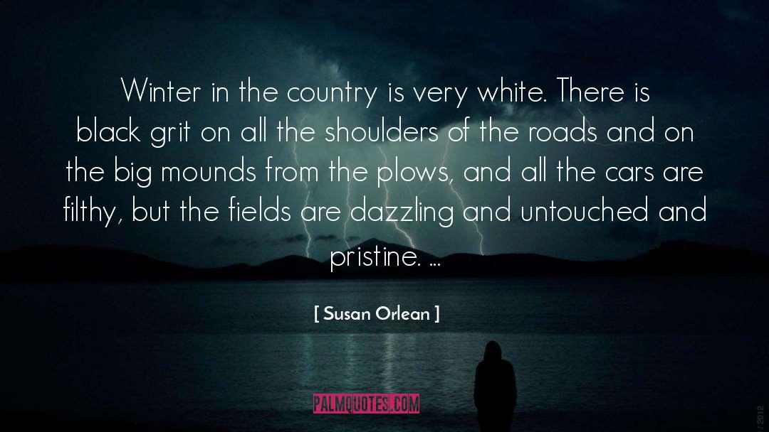Susan Orlean Quotes: Winter in the country is