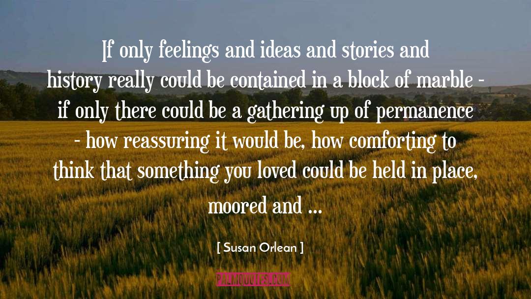 Susan Orlean Quotes: If only feelings and ideas