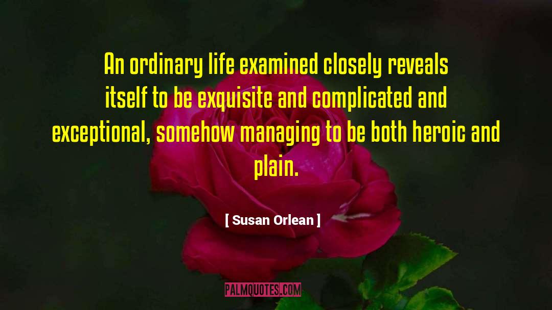 Susan Orlean Quotes: An ordinary life examined closely