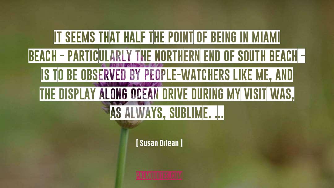 Susan Orlean Quotes: It seems that half the