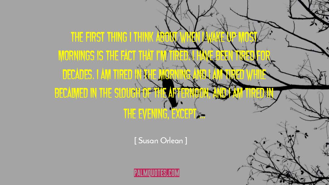 Susan Orlean Quotes: The first thing I think