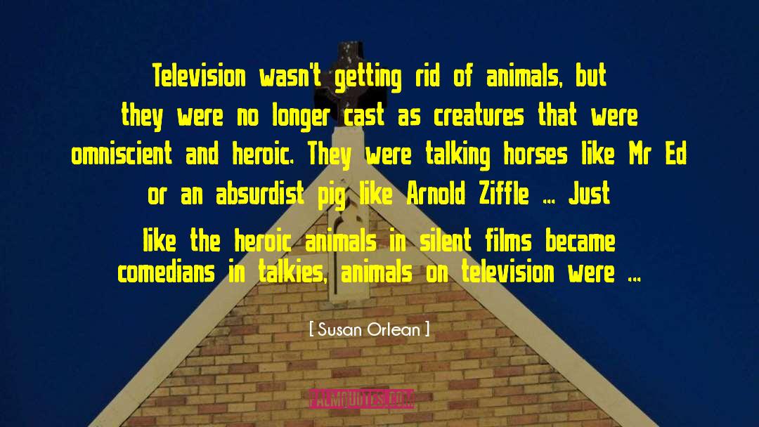 Susan Orlean Quotes: Television wasn't getting rid of