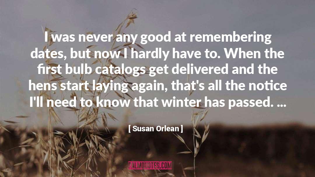 Susan Orlean Quotes: I was never any good