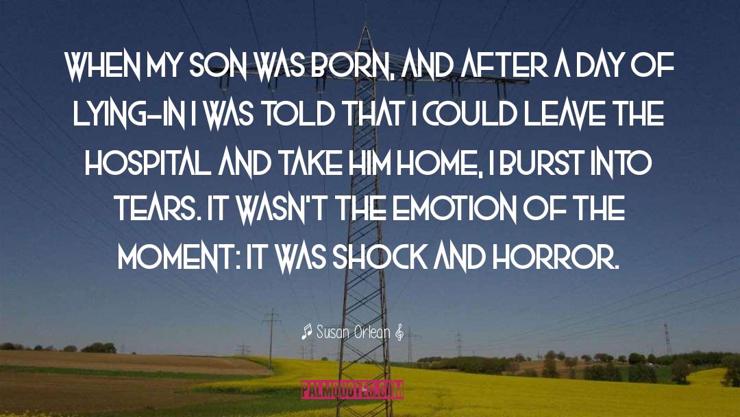 Susan Orlean Quotes: When my son was born,