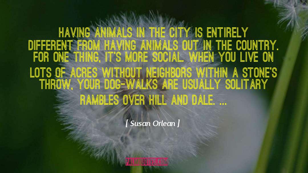 Susan Orlean Quotes: Having animals in the city