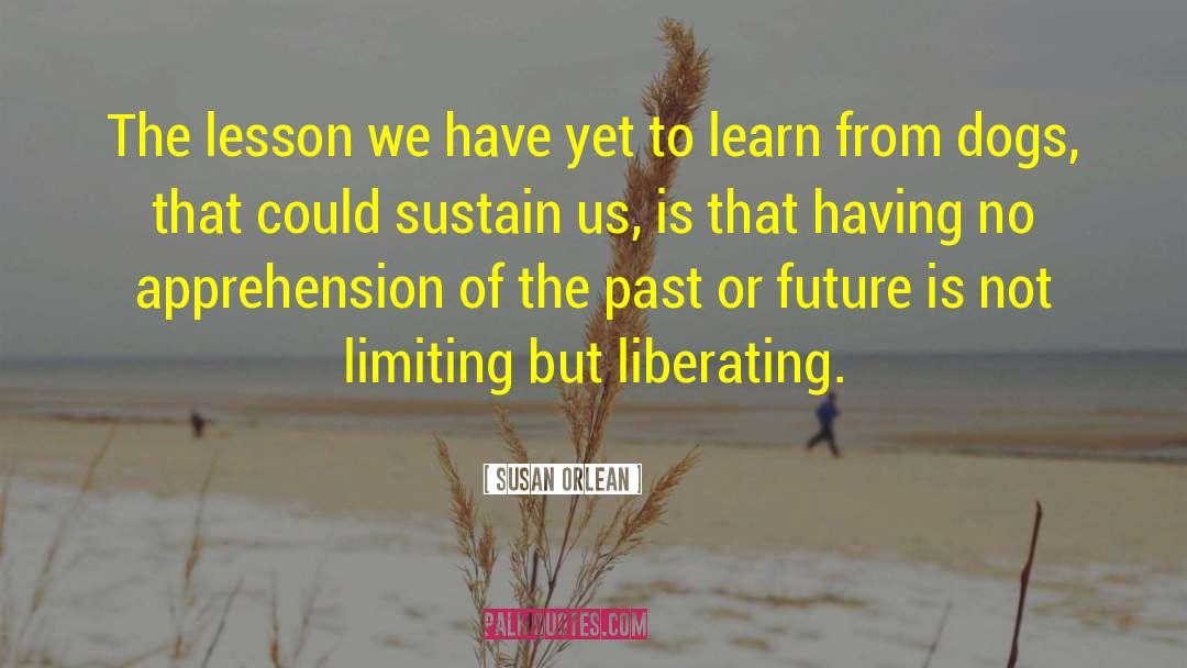 Susan Orlean Quotes: The lesson we have yet