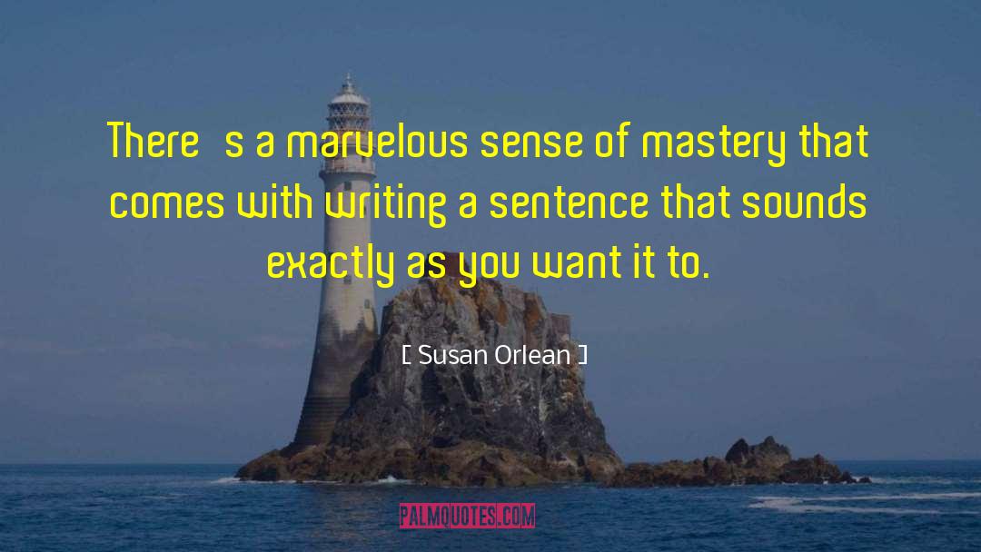 Susan Orlean Quotes: There's a marvelous sense of