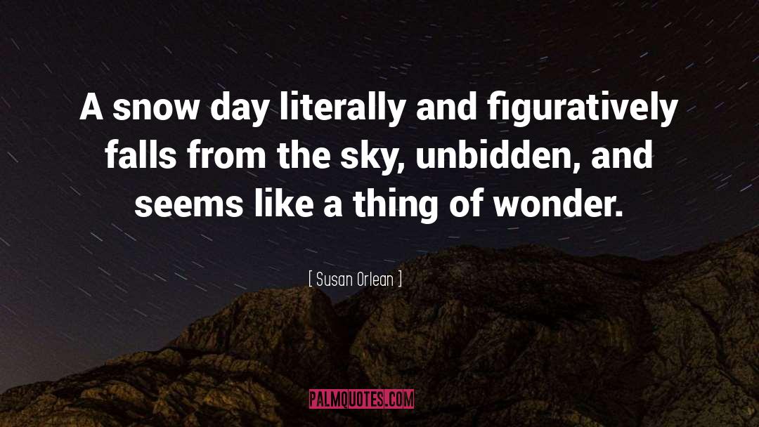 Susan Orlean Quotes: A snow day literally and