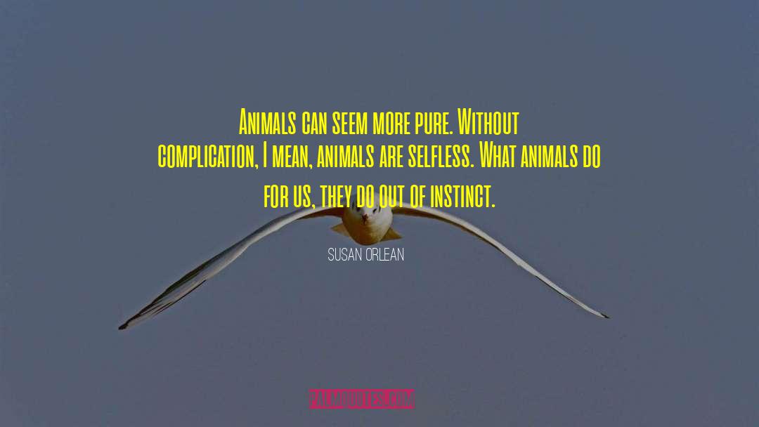 Susan Orlean Quotes: Animals can seem more pure.