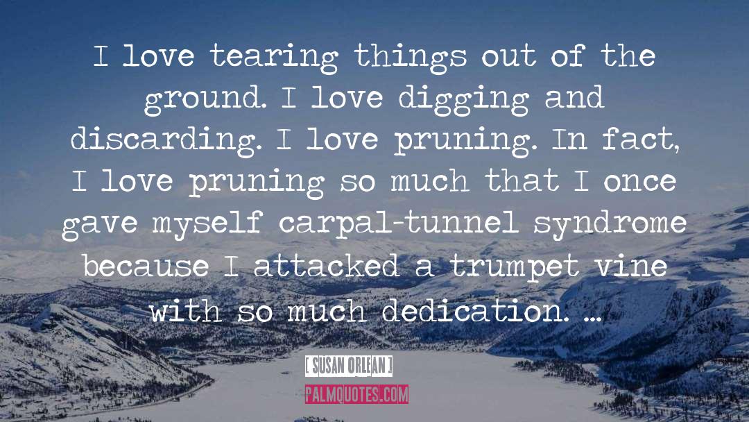 Susan Orlean Quotes: I love tearing things out