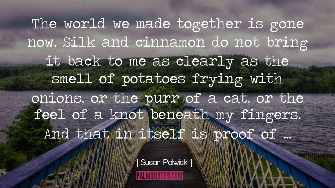 Susan Palwick Quotes: The world we made together