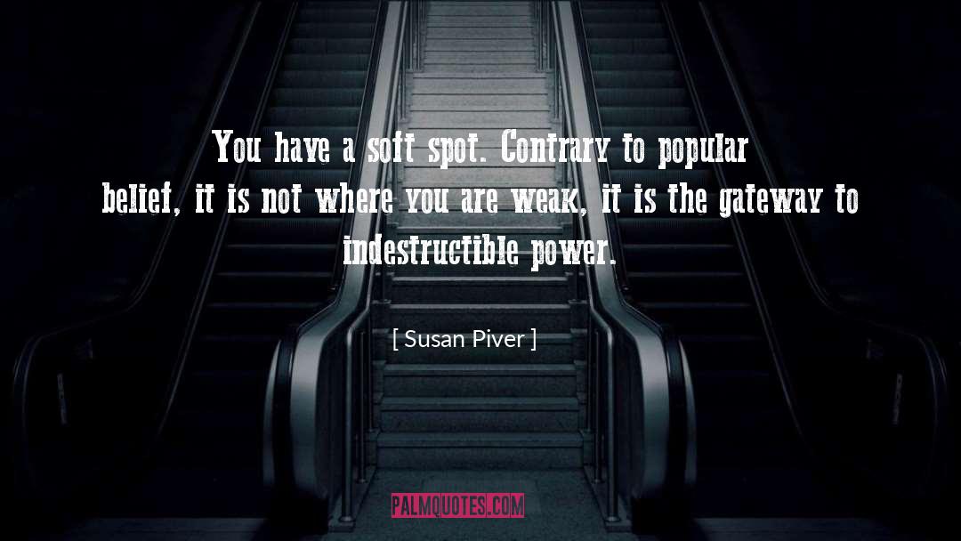 Susan Piver Quotes: You have a soft spot.