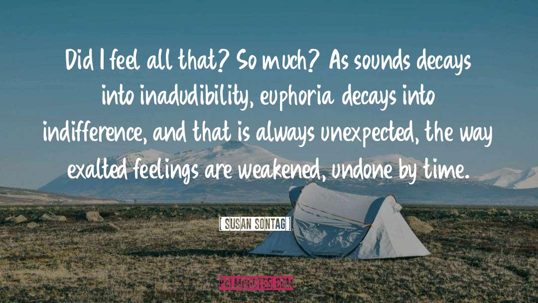 Susan Sontag Quotes: Did I feel all that?