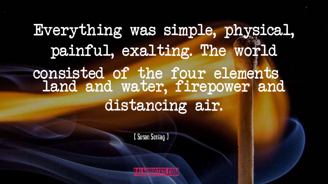 Susan Sontag Quotes: Everything was simple, physical, painful,