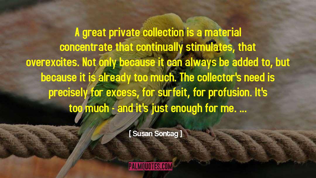 Susan Sontag Quotes: A great private collection is
