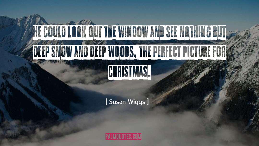 Susan Wiggs Quotes: He could look out the