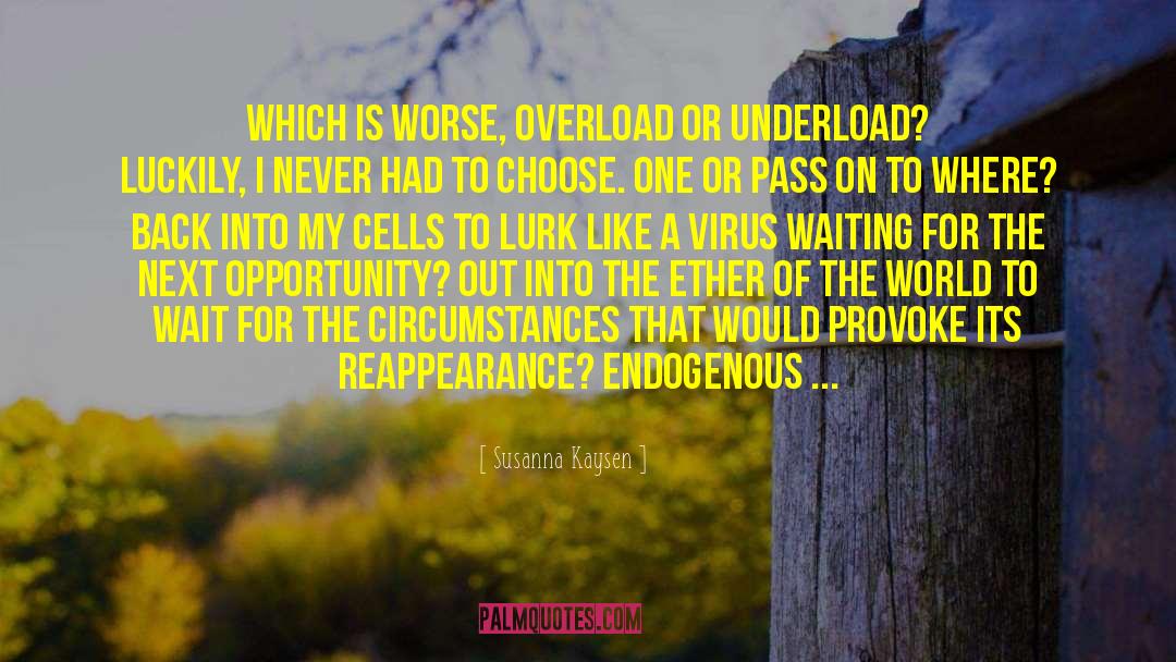 Susanna Kaysen Quotes: Which is worse, overload or